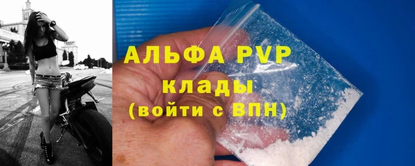 дживик Инсар