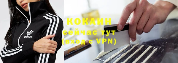 дживик Инсар