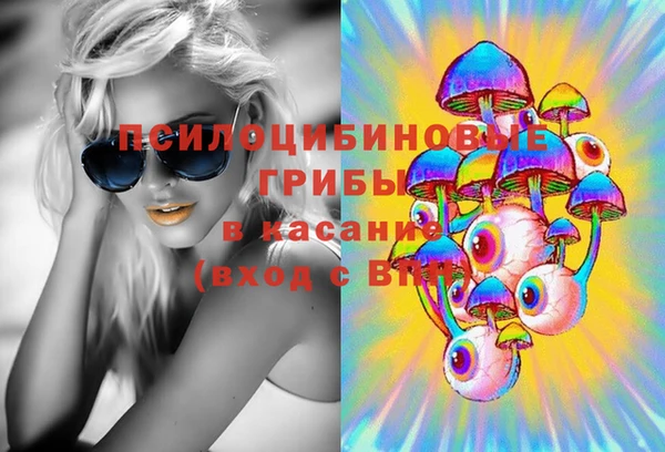 a pvp Инта