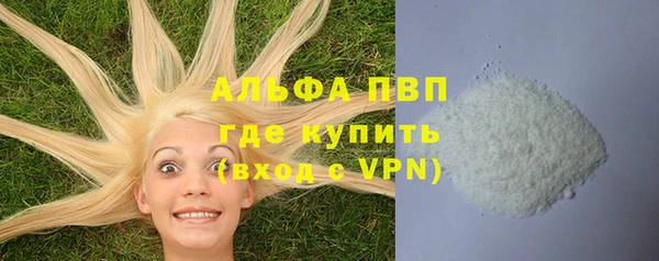 a pvp Инта