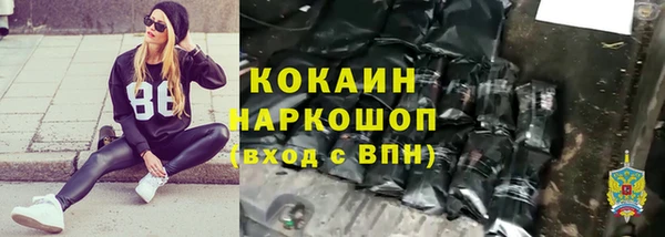 дживик Инсар