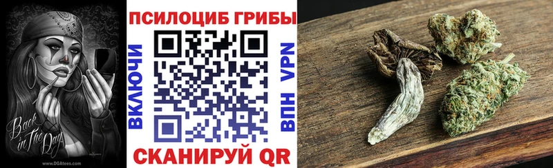 Купить где  Холм  Псилоцибиновые грибы мухоморы 