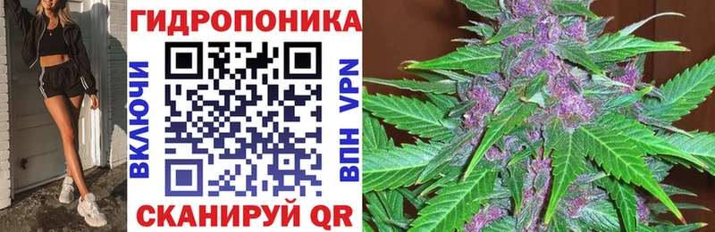 Бошки марихуана тримм  Купить  Холм 
